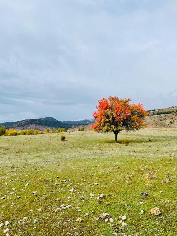 Rural Hacheros Holiday home